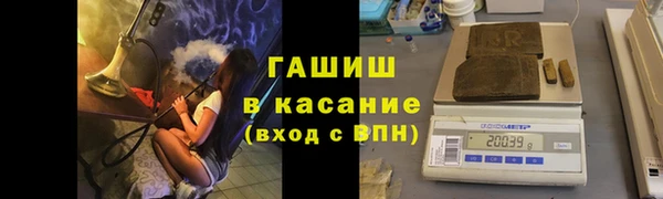 мдпв Заводоуковск