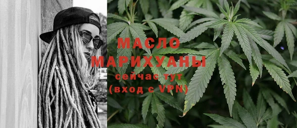 мдпв Заводоуковск