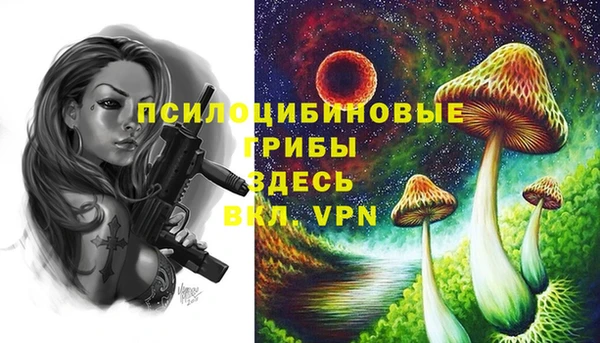 мдпв Заволжск