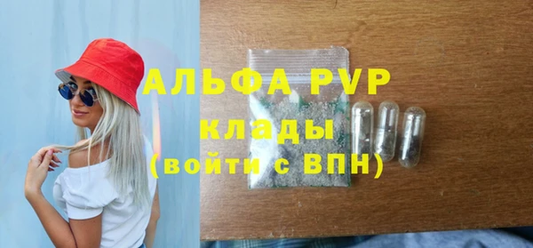 мдпв Заводоуковск
