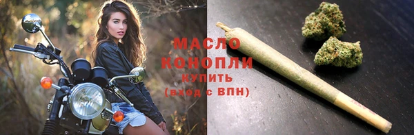 мдпв Заводоуковск