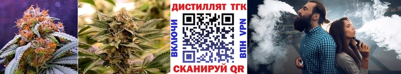 ТГК гашишное масло  Купить где  Кировград 