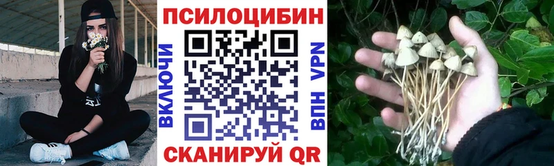 Купить где  Кировград  Галлюциногенные грибы прущие грибы 